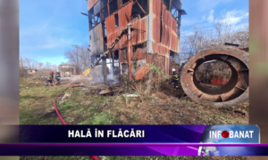 Hală în flăcări