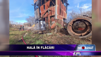 Hală în flăcări