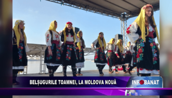 Belșugurile toamnei, la Moldova Nouă