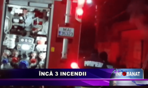 Încă 3 incendii