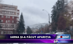 Iarna și-a făcut apariția