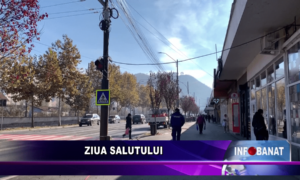 Ziua Salutului