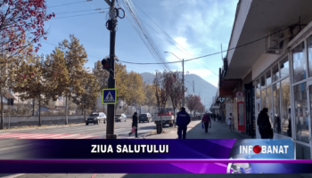 Ziua Salutului