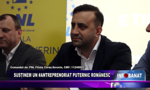 Susținem un #antreprenoriat puternic Românesc