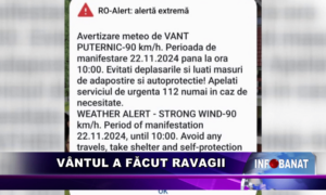 Vântul a făcut ravagii