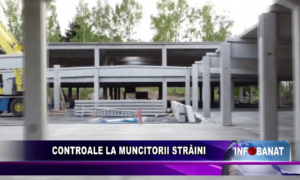 Controale la muncitorii străini