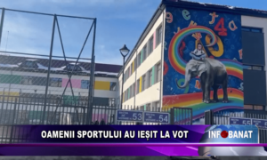 Oamenii sportului au iesit la vot