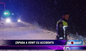 Zăpada a venit cu accidente