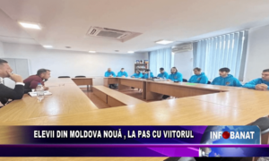 Elevii din Moldova Nouă, la pas cu viitorul