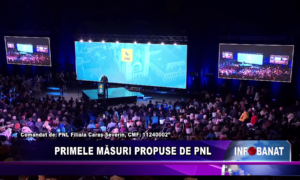 Primele măsuri propuse de PNL