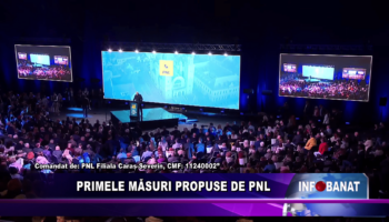 Primele măsuri propuse de PNL