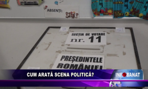 Cum arată scena politică ?