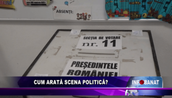 Cum arată scena politică ?