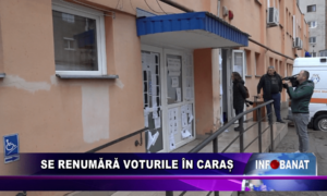 Se renumără voturile în Caraș