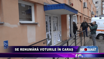 Se renumără voturile în Caraș