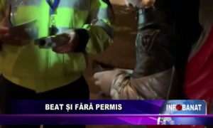 Beat și fără permis