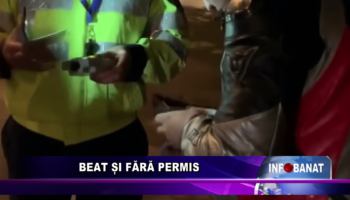 Beat și fără permis