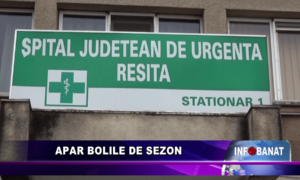 Apar bolile de sezon