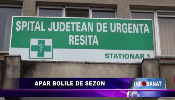 Apar bolile de sezon