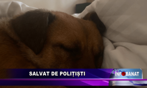 Salvat de polițiști