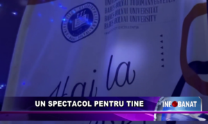 Un spectacol pentru tine