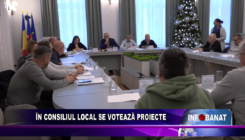 În consiliul local se votează proiecte