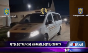 Rețea de trafic de migranți, destructurată