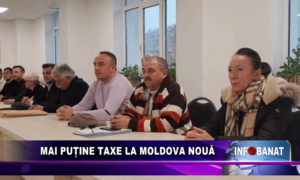 Mai puține taxe la Moldova Nouă