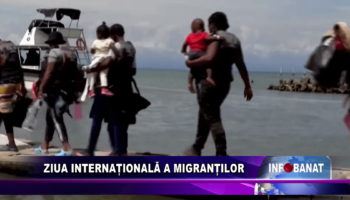 Ziua Internațională a Migranților