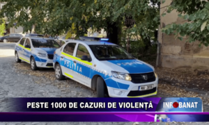 Peste 100 de cazuri de violență