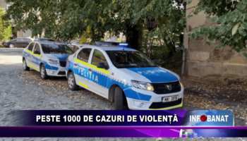 Peste 100 de cazuri de violență