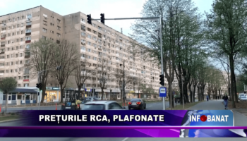 Prețurile RCA, plafonate