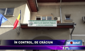 În control, de Crăciun