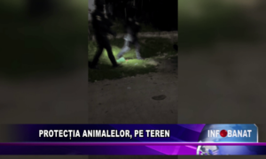 Protecția animalelor, pe teren