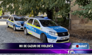 Mii de cazuri de violență