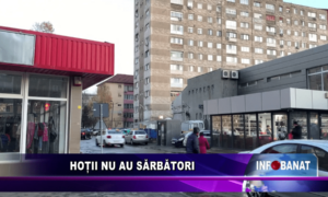 Hoții nu au sărbători