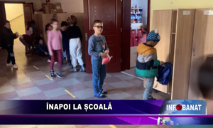 Înapoi la școală