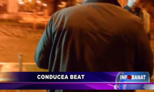 Conducea beat