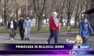 Primăvară în mijlocul iernii