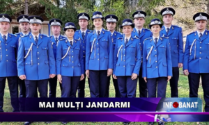 Mai mulți jandarmi