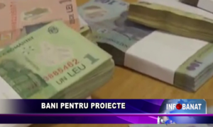 Bani pentru proiecte