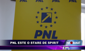 PNL este o stare de spirit