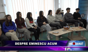 Despre Eminescu acum