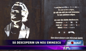 Să descoperim un nou Eminescu