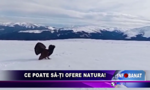 Ce poate să-ți ofere natura