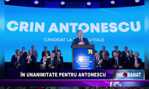 În unanimitate pentru Antonescu