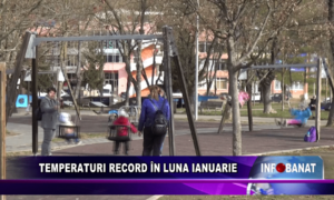 Temperaturi record în luna ianuarie