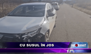 Cu susul în jos