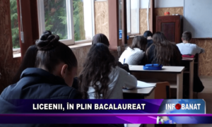 Liceenii, în plin Bacalaureat