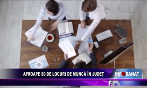 Aproape 80 de locuri de muncă în județ